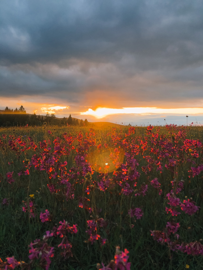 Summer in Western Serbia.