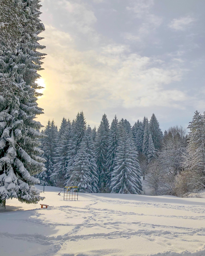 Winter in Western Serbia.